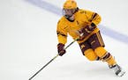 Forward Taylor Heise and the the fifth-ranked Gophers (17-6-1) will try to keep their success going against the top-ranked Badgers (18-1-3).
