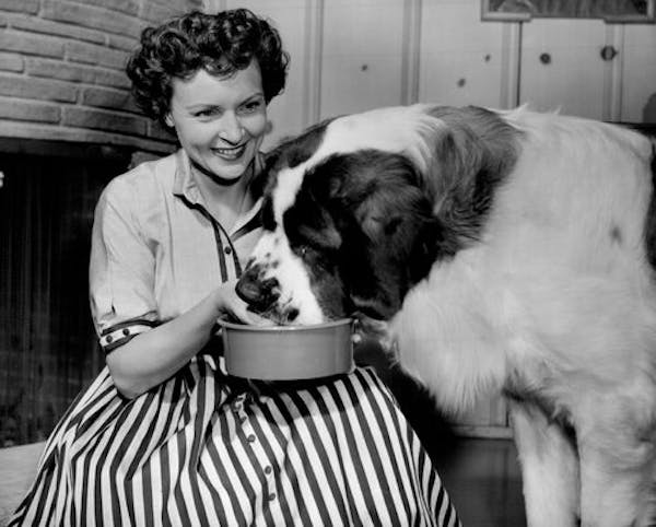 A grassroots challenge is encouraging people to donate to animal shelters in honor of Betty White.
