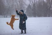 Judy Suddendorf braved the snow and cold on her day off as a professor to play with her 11-month-old puppy, Maddie, at Greenhaven Park in Burnsville.
