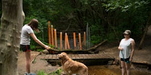 Elisabeth Storm offered her dog, Luke, another tennis ball, his favorite thing in the world, as he cooled off in a creek at Battle Creek Regional Park
