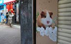 A pet shop is closed after some pet hamsters were, authorities said, tested positive for the coronavirus, in Hong Kong, Tuesday, Jan. 18, 2022. 