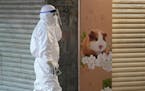 A staffer from the Agriculture, Fisheries and Conservation Department walks past a pet shop which was closed after some pet hamsters were, authorities