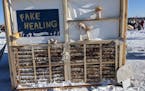 The Fake Healing Art Shanty by Jacob Carrigan & Stephani Pescitelli