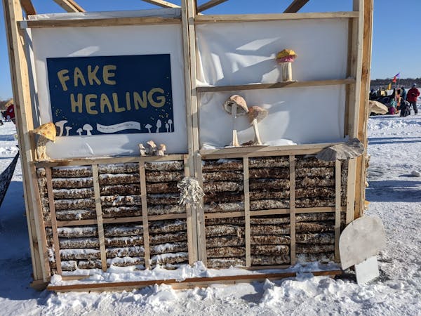 The Fake Healing Art Shanty by Jacob Carrigan & Stephani Pescitelli