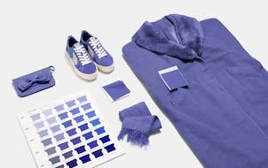 Pantone described Veri Peri as a dynamic periwinkle blue with violet-red undertones.