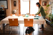 Rabbi Jill Crimmings rolled and braided challah dough at her home in Minnetonka as family dog Zelda kept a watchful eye. She tells biblical stories wi