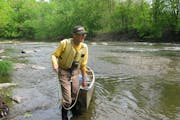 Darby Nelson spent most of a lifetime in Minnesota waters, learning about them and defending them. He is shown on the Le Sueur River.