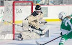Andover goalie Courtney Stagman made 24 saves against Edina on her way to her sixth shutout of the season. The Huskies defeated the Hornets 3-0 on Hoc