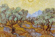 Vincent Van Gogh 1889 painting “Olive Trees” is part of the Minneapolis Institute of Art’s permanent collection.