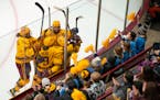 The Gophers celebrated after scoring against Wisconsin on Jan. 22 at Ridder Arena.
