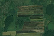 Shown here is a 200-acre plot of peaty cropland in Stearns County as the Minnesota Board of Water and Soil Resources began restoring it to native wetl