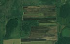 Shown here is a 200-acre plot of peaty cropland in Stearns County as the Minnesota Board of Water and Soil Resources began restoring it to native wetl