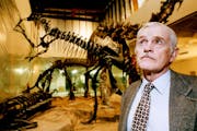 Bruce Erickson, the Science Museum of Minnesota’s longtime curator of paleontology,  uncovered a massive trove of fossils in North Dakota that are n