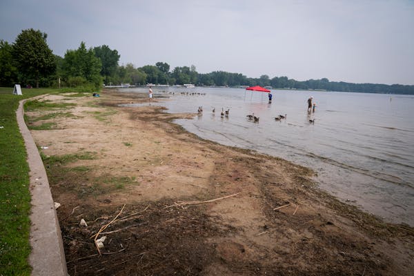 Visitors wade into White Bear Lake in July 2021, where the lake has receded from the shore at White Bear Lake County Park. 