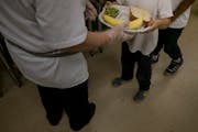 The U.S. Department of Agriculture’s (USDA) Summer Food Service Program is meant to provide children in low-income areas with free meals when school