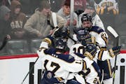 Hermantown forward Joshua Kauppinen (20) was mobbed by teammates after scoring in the first period Friday.