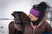 Kym Garvey gives Lemon the donkey a kiss on the snout. Lemon was born with wry nose which makes her look different from other donkeys, causing them to