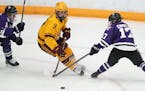Gophers center Taylor Heise led the nation with 66 points.