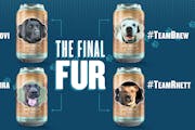 Minnesota pup Kira is among the finalists in the “final fur” bracket created by Busch’s Dog Brew to select the face of its new flavor. 