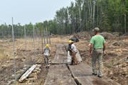 The Minnesota Department of Natural Resources built a fence around an illegal deer carcass dump site created by a deer farmer in Beltrami County.