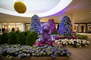 The gummy bear garden is filled with hydrangeas at the Galleria in Edina, Minn. The Galleria Floral Experience with gardens by Bachmans is back with a