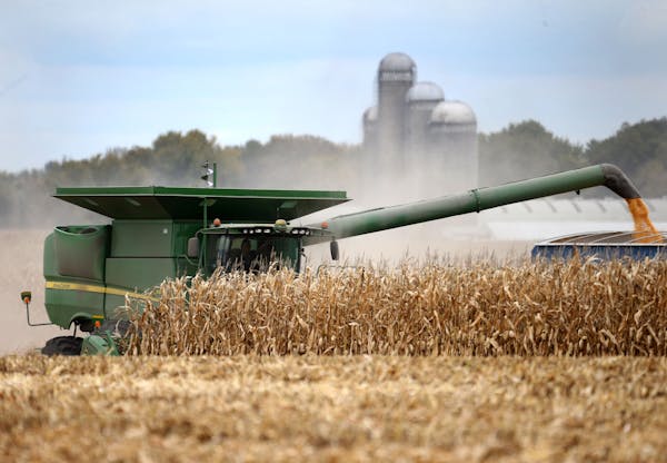 FILE-Minnesota farmers beat drought and supply chain snags to post near-record profits in 2021.