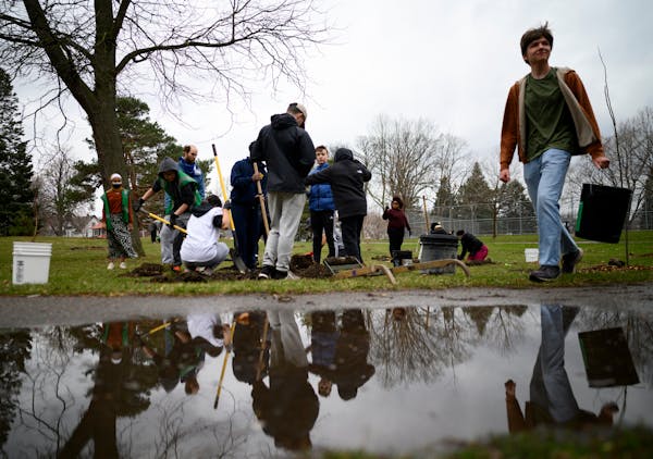Volunteers worked on planting and watering trees during the Litter League’s Earth Day Launch event Saturday at North Commons Park in Minneapolis. Th