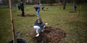 Edison junior Benjamin Vang, 16, planted a tree during the Litter League’s Earth Day Launch event on April 23, 2022. at North Commons Park in Minnea