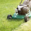 Don’t mow more than a third of the height of the grass.