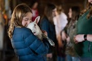 Colette Alexander, 12, snuggled up to a lamb she got to hold as the girls got a chance to get up close with the farm animals at the Girls Explore Scie