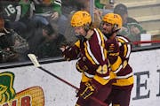 Gophers forward Chaz Lucius (29) celebrated after scoring against North Dakota in November.