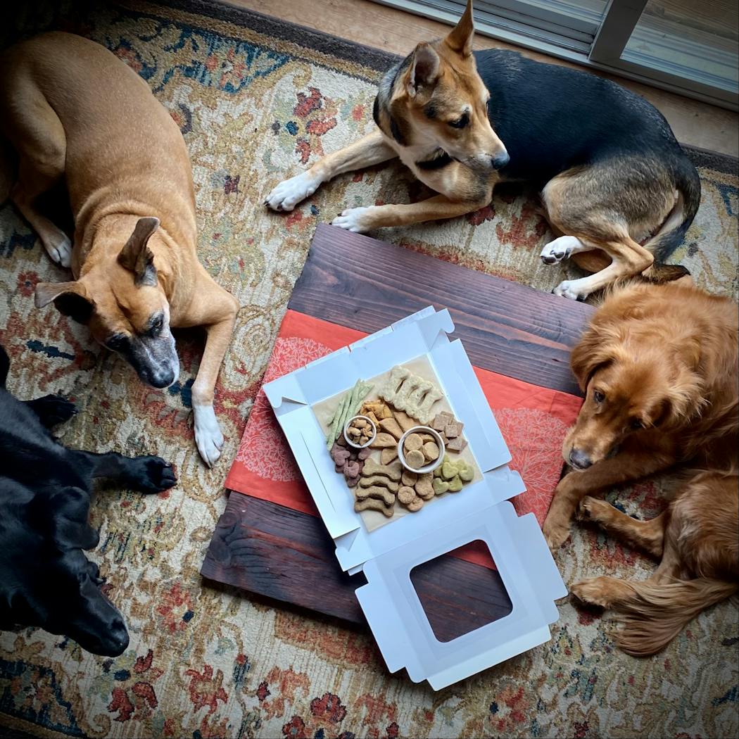 Snacks by barkuteriebox.com look so nice your dog will pause to to appreciate it.