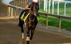 Zandon worked out Monday morning at Churchill Downs.