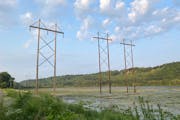 Electrical transmission lines in Lilydale Regional Park in St. Paul. 
