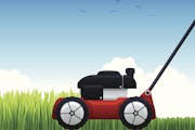 Lileks: Spring lawn care in 142 easy-to-follow steps