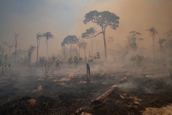 Fire consumes land recently deforested by cattle farmers near Novo Progresso, Para state, Brazil on Aug. 23, 2020. The frequency and duration of droug
