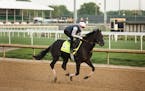 Zandon placed third in the Kentucky Derby, but will skip the remaining two legs of the Triple Crown races to point toward the Travers Stakes in August