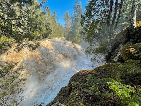 The Cascade River on Friday in Lutsen was swollen with water following two inches of rain in two days.