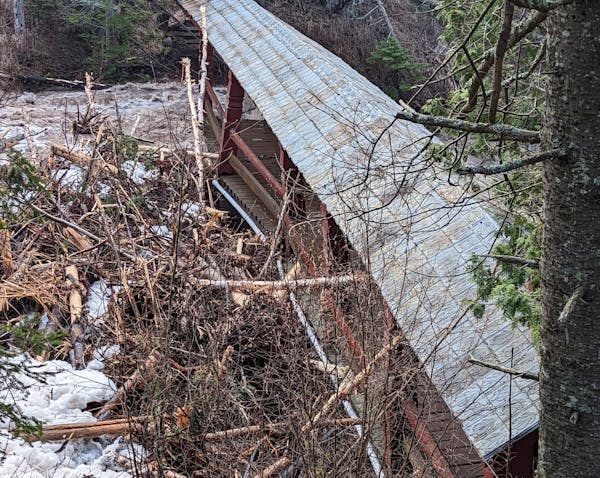 One of Lutsen Resort’s covered bridges Saturday, damaged by fallen trees in the Poplar River.