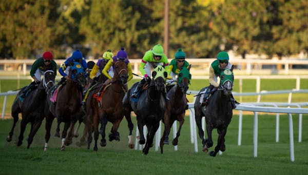 Canterbury Park: Entries, picks, results, odds and racing updates