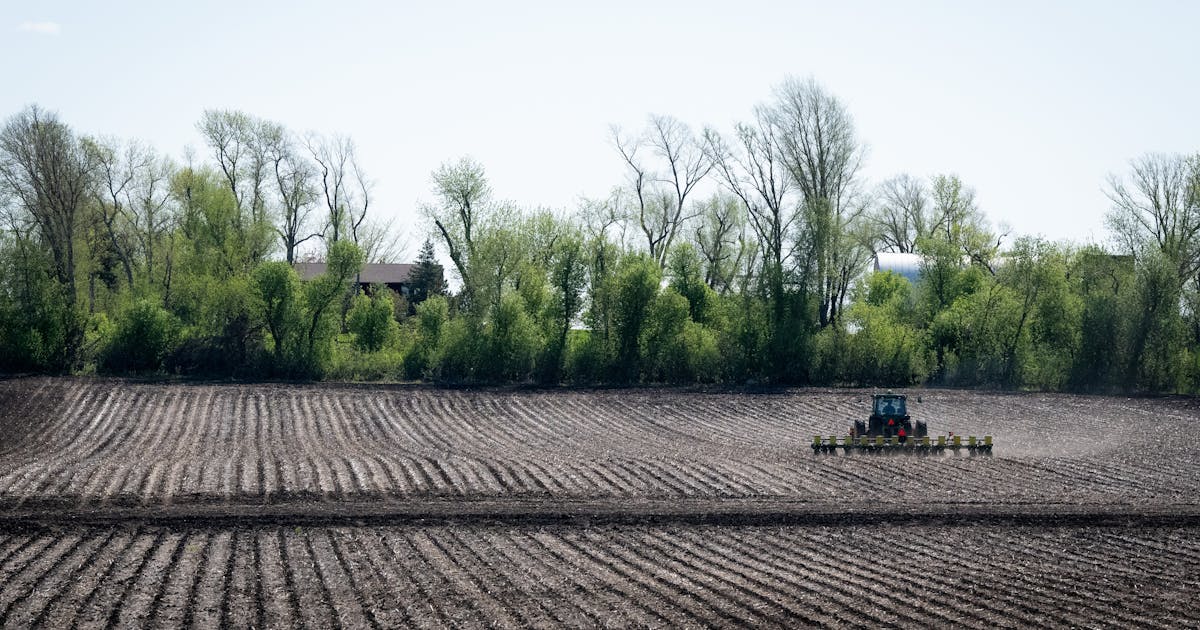 Only 35% of Minnesota's corn crop has been planted. That's about half the five-year average.