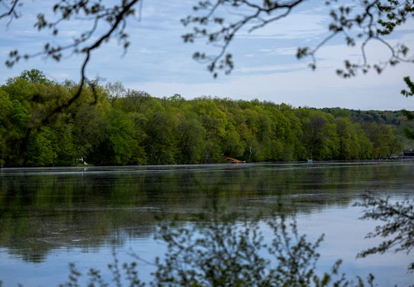 A developer has proposed building 12 small homes along the St. Croix River in St. Croix Falls, Wis., angering river advocates who say the riverfront i