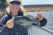 Jan Anderson, wife of outdoors columnist Dennis Anderson, with a family favorite, a crappie.