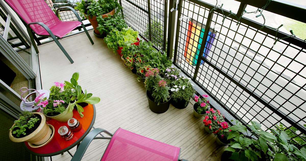 No yard? No problem! How to create a beautiful garden in a small space