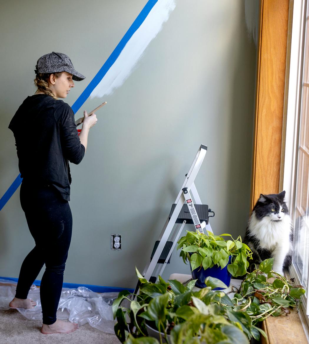 Kat Dodge painted alongside her cat Tony Bennett in her new home in Inver Grove Heights.