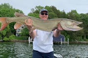 Paul Schiller of Minneapolis wanted only walleye action when he and his wife launched their boat in Minnetonka last Saturday. He got a dandy 21-inch w