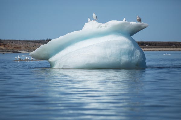 A melting iceberg in Hudson Bay in Manitoba, Canada, June 14, 2014.