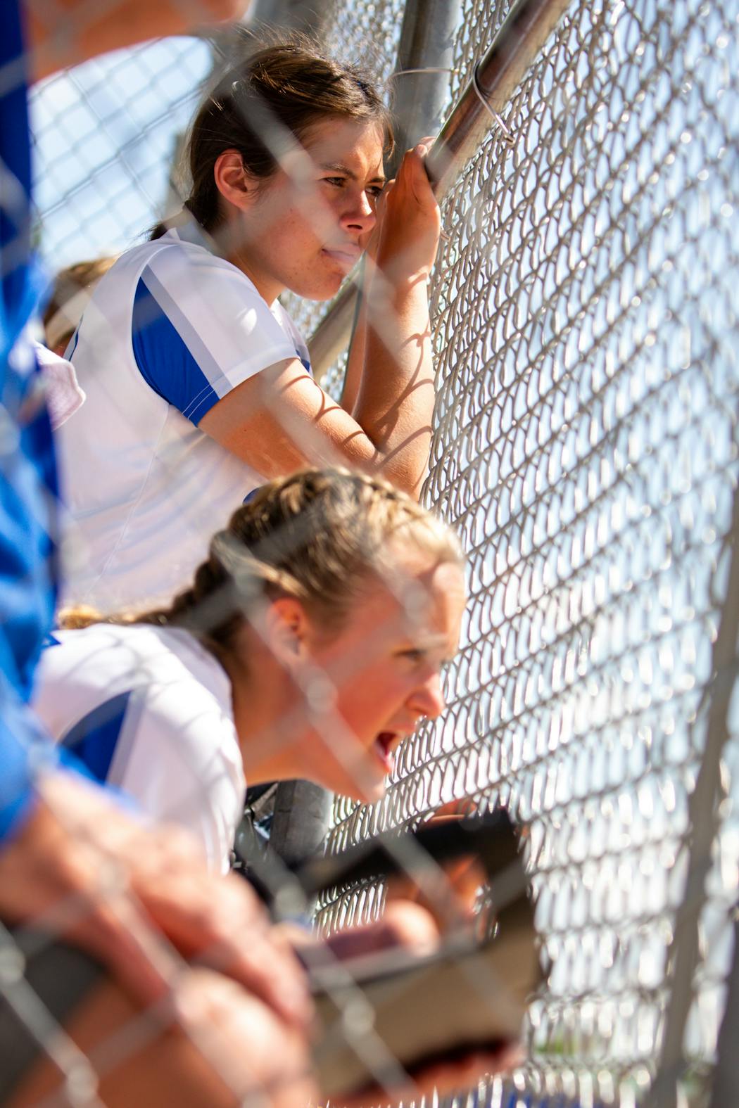 Brainerd softball players hollered their support from the dugout during the softball state championships June 10 at Caswell Park in North Mankato.