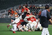 Farmington players formed a happy heap after completing their run to the Class 4A title.