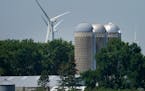 Despite steady winds, many wind turbines on the Fenton Wind Farm and elsewhere in southern Minnesota are idle from power line congestion that is leadi